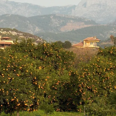 Demirtas I Seki (Antalya)